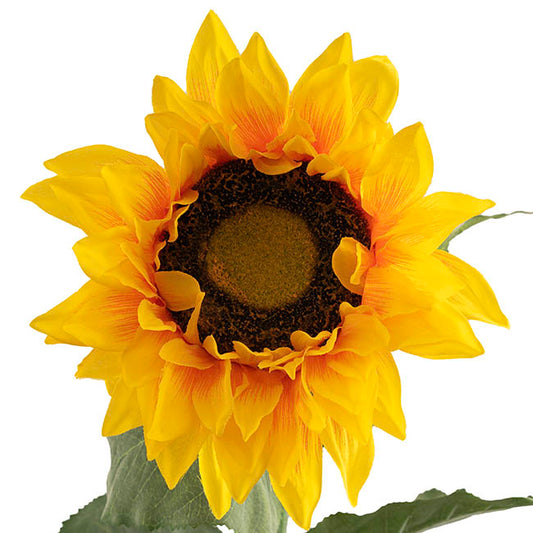 Giant Sunflower Faux Yellow (28cmDx143cmH)
