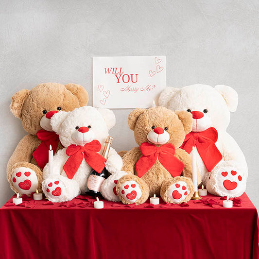 Ted the I Love You Teddy Bear Plush Toy White (45cmST)
