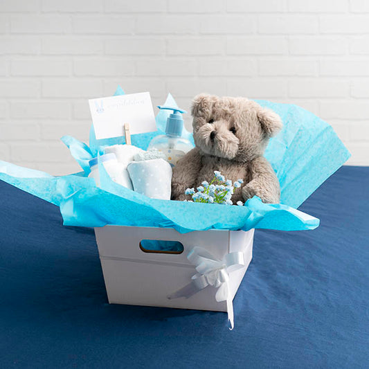 Alex Teddy Bear Brown (20cmST)