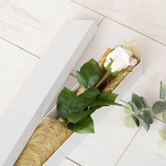 Glossy Rose Box Single White (71x8x7cmH)