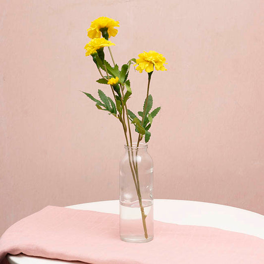 Glass Tall Milk Bottle Clear (5.5x16cmH)