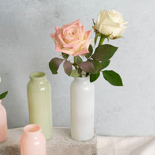 Glass Tall Milk Bottle Solid Glossy White (5.5x16cmH)