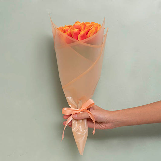 Cello Frosted Hue Silhouette 50mic Apricot Pk100 (50x70cm)