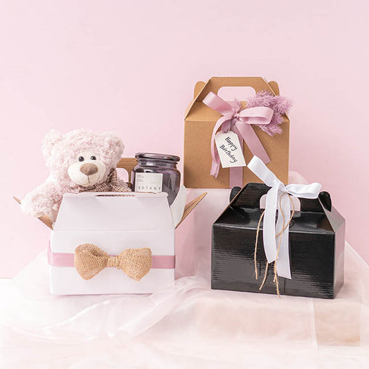 Gable Box Flat packed Large White (24x13x13Hcm)