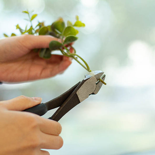 Wire Cutter Pliers Blue Handle (20cm - 8")