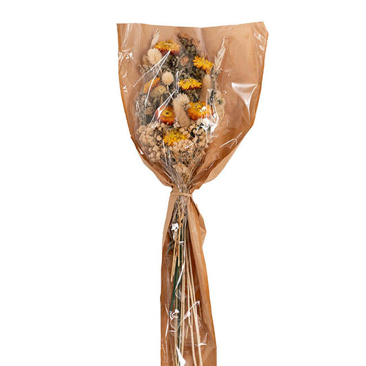 Preserved Dried Mixed Flower Arrangement Beige (55cmH)