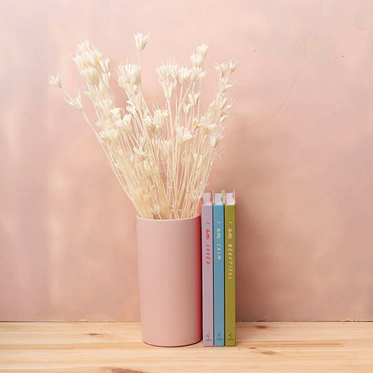 Preserved Dried Nigella White 50g (75cmH)