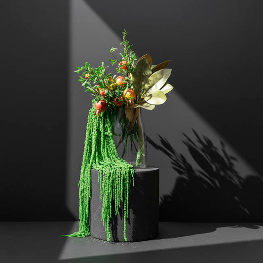 Preserved Dried Hanging Amaranthus 5 Stem Green (60-100cmH)