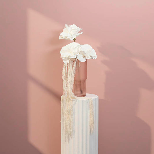 Preserved Dried Hanging Amaranthus 5 Stem White (60-100cmH)