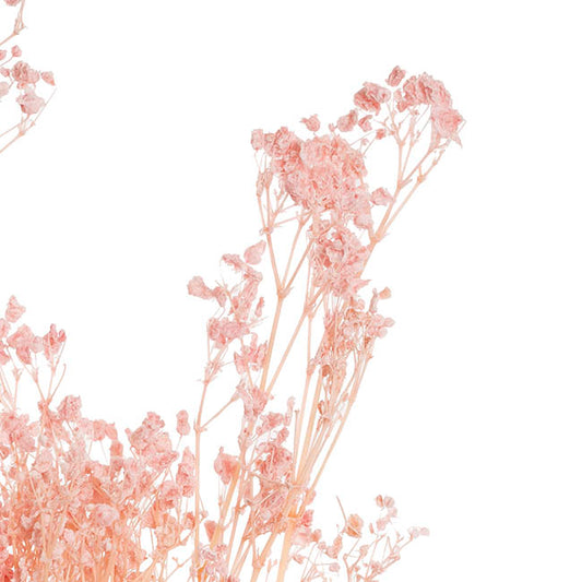 Preserved Dried Baby's Breath Bunch Soft Pink (57cmH)