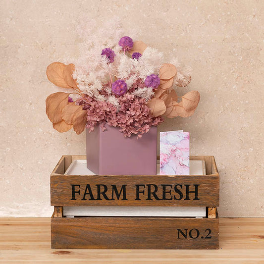 Preserved Dried Apple Leaf Honesty Bunch Nude