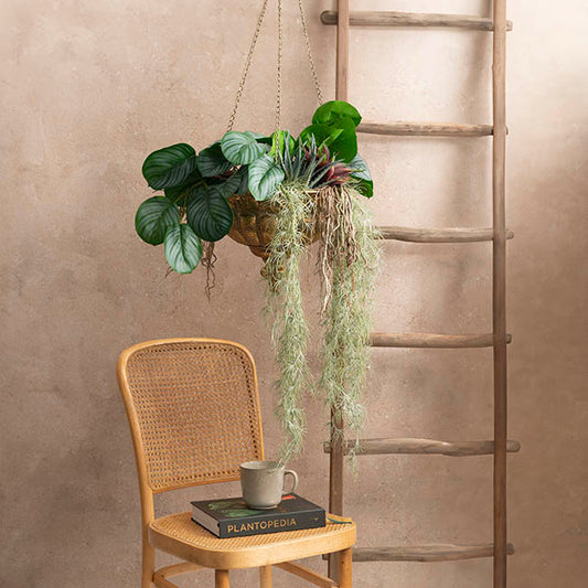 Hanging Metal Planter Pot Brushed Gold (34.5x94cmH)