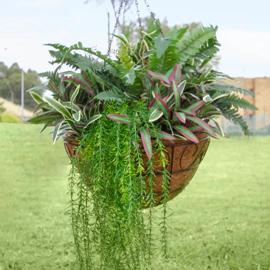 Metal Hanging Basket Scroll with Insert (40.5cm)