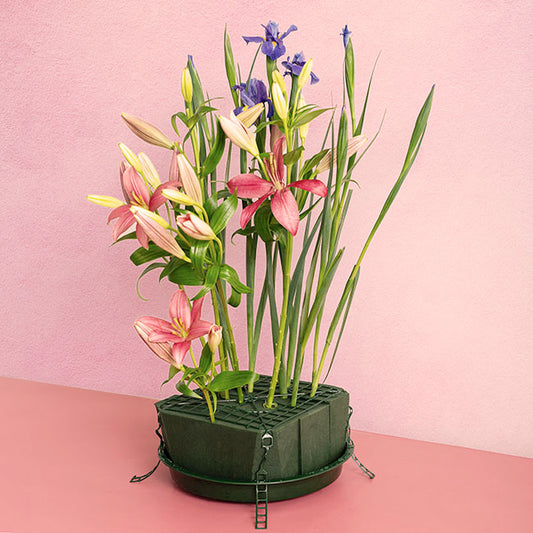 Designer Bowl & Guard Round Bas Pack5 (33Dx3.5cmH) Green