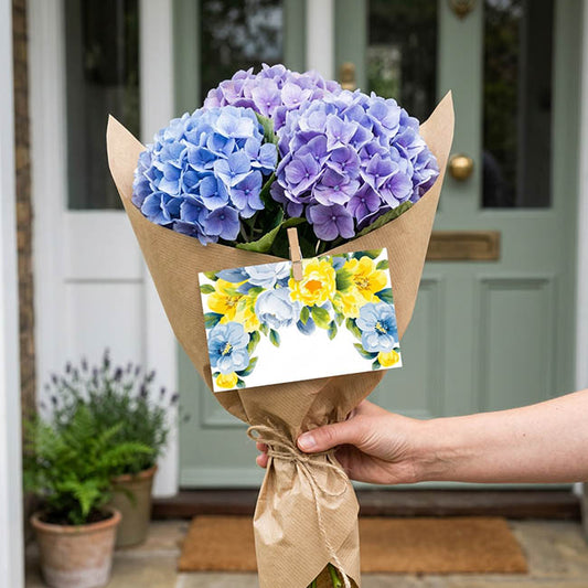 Cards White Blue & Yellow Blooms (10x6.5cmH) Pack 50