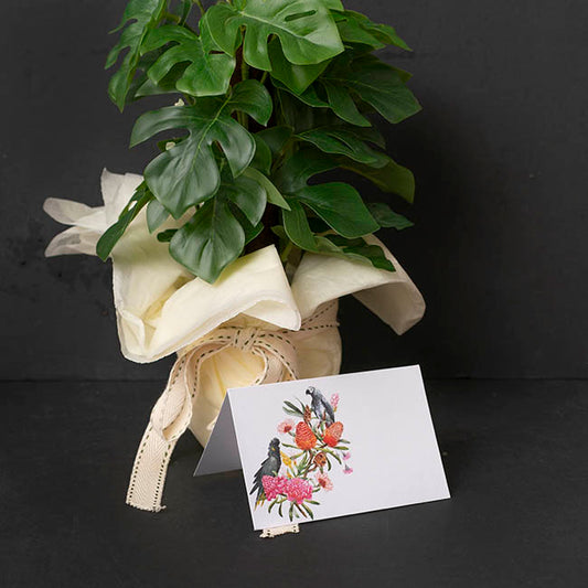 Gallery Gift Card & Envelope Native Birds Pk25 (10x6.5cmH)