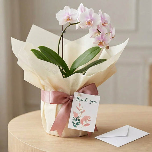 Classic Gift Card & Envelope Thank You Stems Pk25(6.5x10cmH)