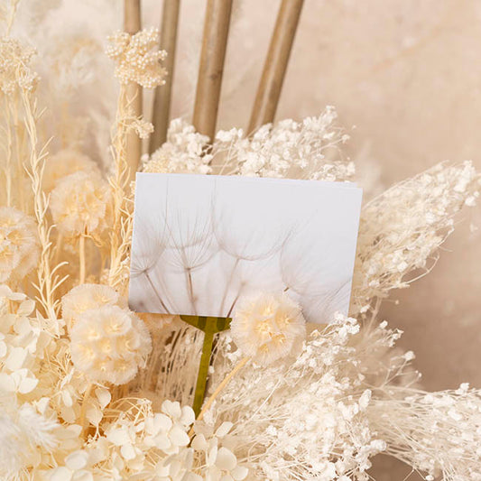 Artisan Gift Card & Envelope Dandelions Pk25 (10x6.5cmH)