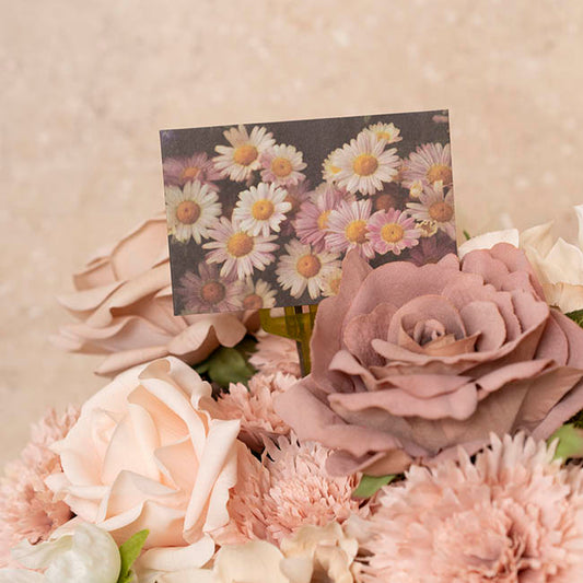 Artisan Gift Card & Envelope Daisy Field Pk25 (10x6.5cmH)