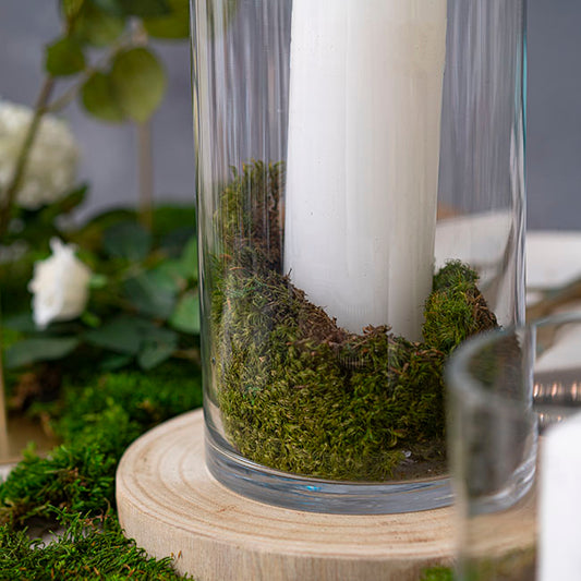 Premium Preserved Hair Moss Window Box 800g Light Green