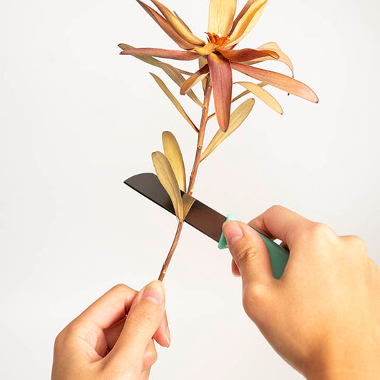 Florist Bud Knife Pack 5 Assorted Colours (16.5cm)