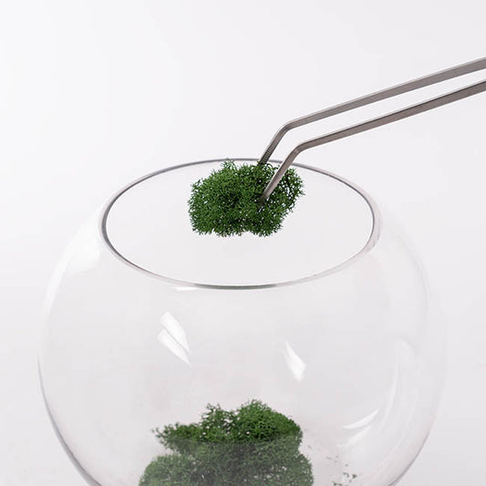 Terrarium Tweezers & Scissor Set
