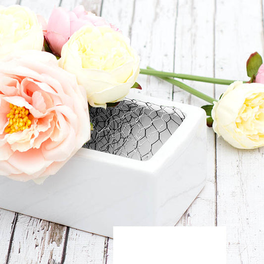 Chicken Wire Florist Rolls HexNet 24g (10cmx20m) Silver