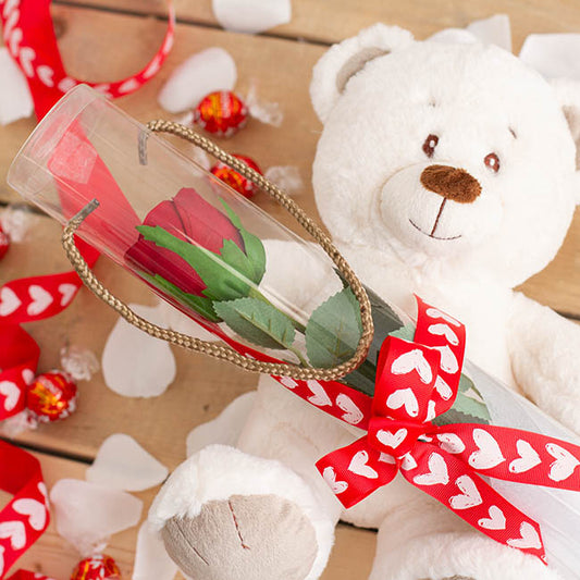 Rose Cylinder Acetate Tube Clear 24" (9cmDx61cmH)