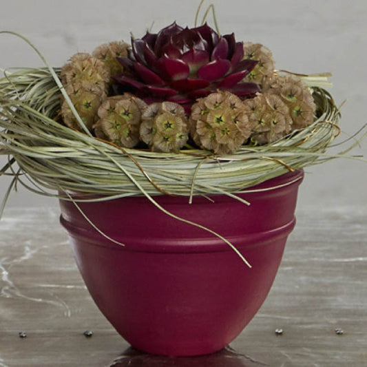 Design Master Spray Paint Colortools Maroon (340g)