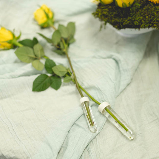 Vials Clear Premium Large 18mL with Cap Pack 50 (9.5cmH)