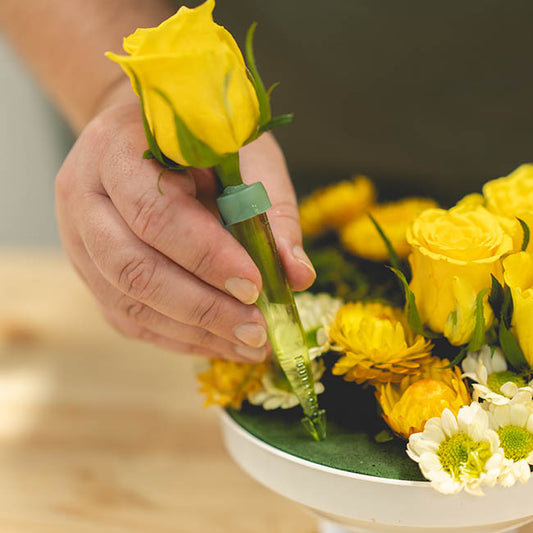 Vials Anchor Style Small 8mL with Cap Pack 50 Green (10cmH)