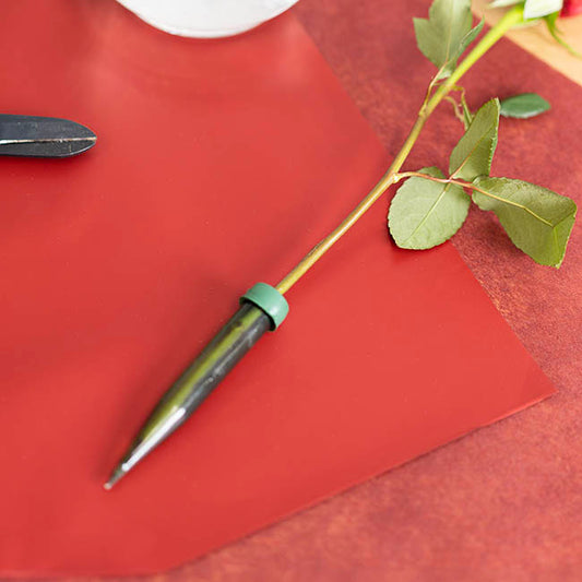 Anchor Vials Medium 12mL with Cap Pack 50 Green (11cmH)