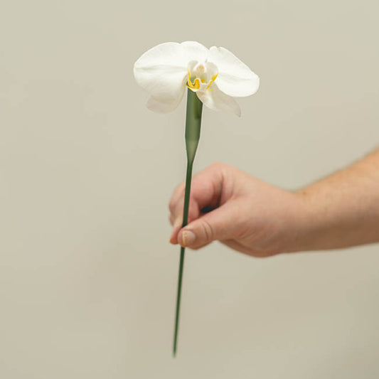 Orchid Vials Large With Stem & Cap Pack 10 Green (30cm)