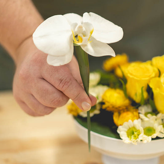 Orchid Vials Large With Stem & Cap Pack 10 Green (15cm)