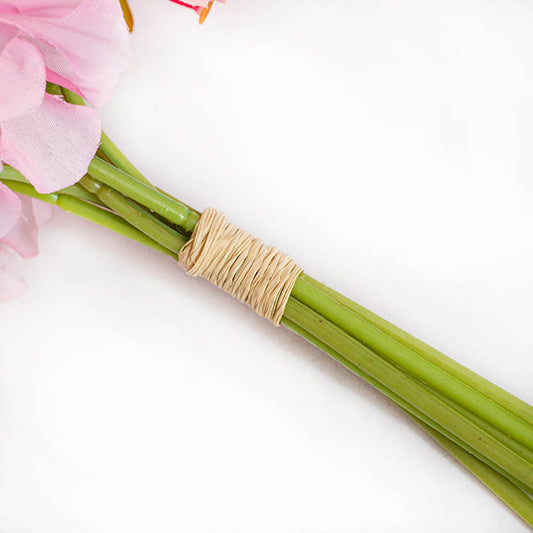 Natural Raffia Hank (approx. 1kg)