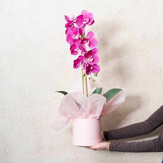 Tissue Paper Pack 100 Acid Free 17gsm Light Pink (50x75cm)