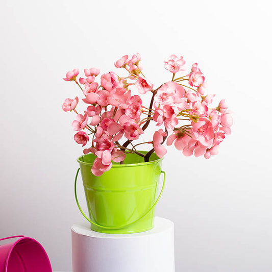 Tin Bucket with Handle Lime (12.5Dx10.5cmH)