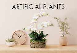 MD artificial plants