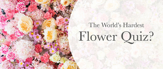 The World's Hardest Flower Quiz
