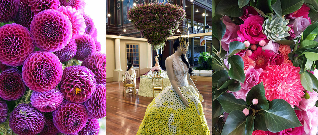 2016 Melbourne International Flower and Garden Show Review