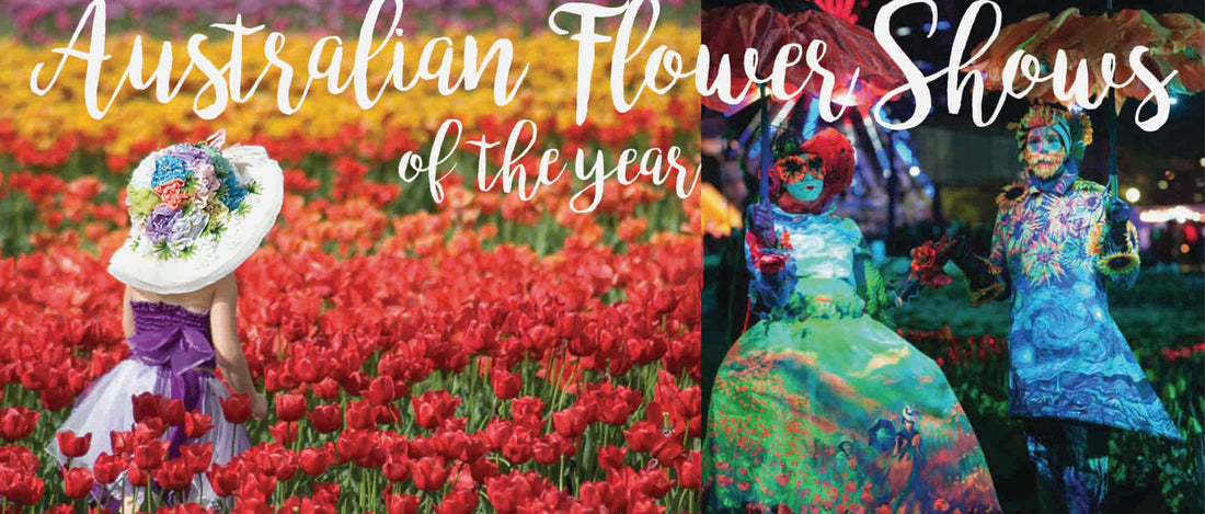 Australia's Must-See Flower Shows 2017