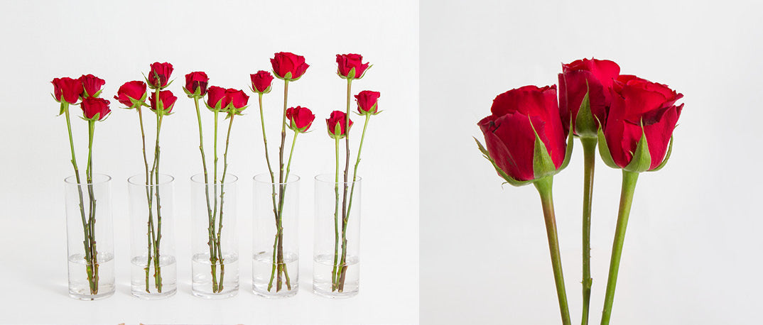 How To Make Cut Flowers Last Longer