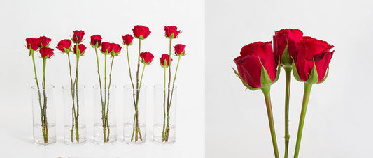 How To Make Cut Flowers Last Longer