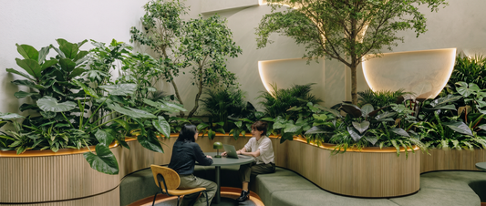 Why More Businesses Are Choosing Artificial Plants Over Real Ones