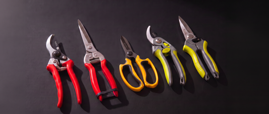 Which Scissors for Which Job? The NFS Colour-Code Guide