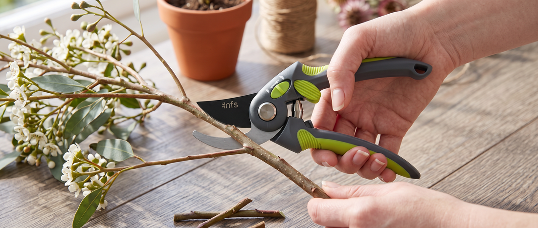 How to Cut Flower Stems Correctly (and Why 45° Matters)
