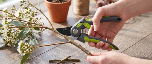 How to Cut Flower Stems Correctly (and Why 45° Matters)
