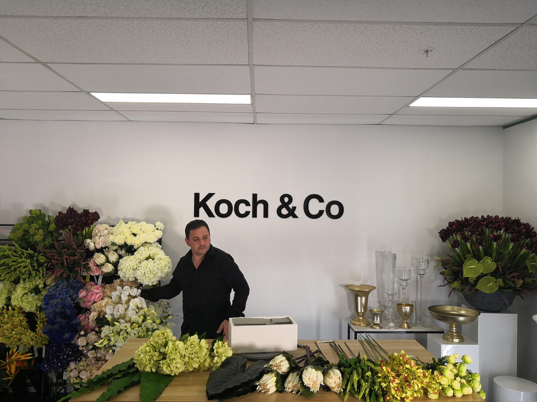 John Emmanuel Interview By Koch & Co