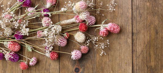 What Are The Main Differences Between Dried And Preserved Flowers?