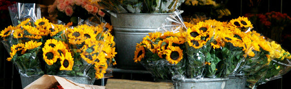 What Is Cellophane Wrapping Paper